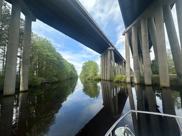 Dismal Swamp.