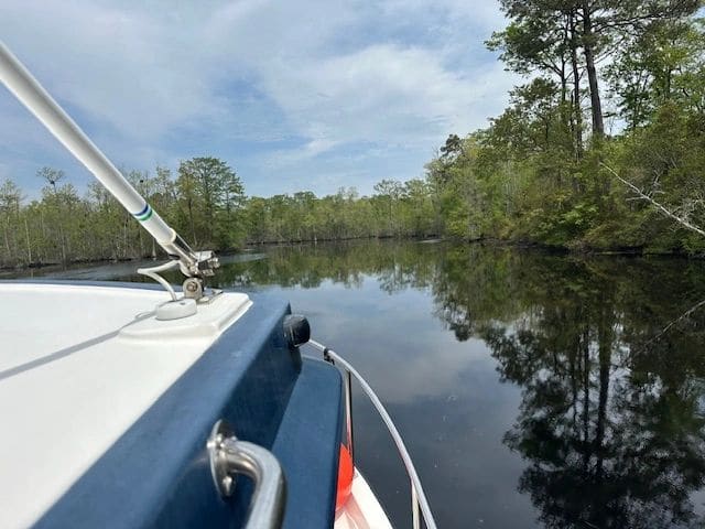 Heading in to the Dismal Swamp channel. Glassy water all day.
