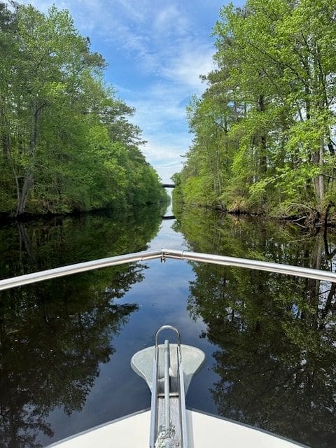 Dismal Swamp.