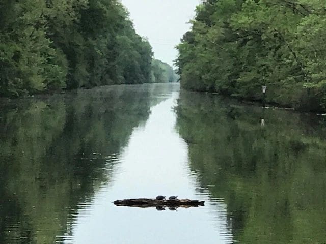 Right in the center of the channel.