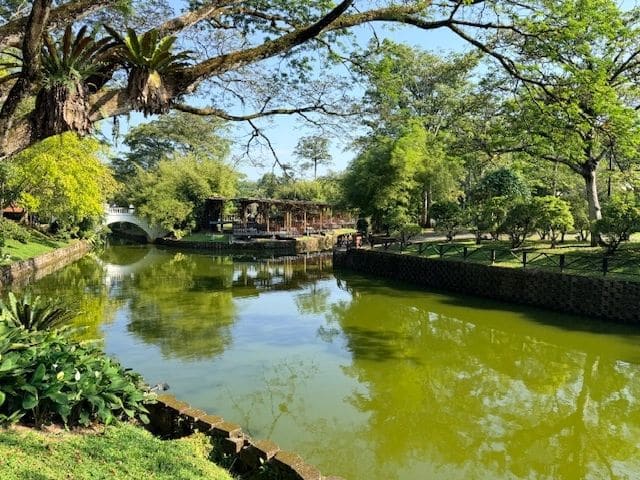 The best photo yet! (Gentleman stopped by while we were gazing here to tell us a large (~3') lizard passes through this area, as well ducks)