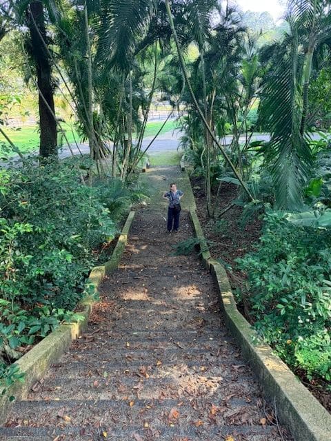 Waiting to see if Rob can open the gate to the path leading to the Crazy Rich Asian house (nope!)