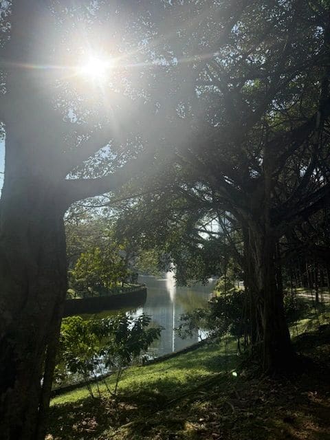 Today's walk through nature was much needed!
