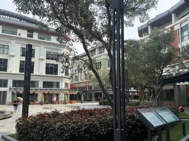 Another view