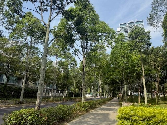 Street in Desa (residences across from mall/park)