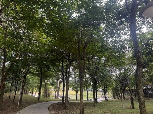 Walking around the park/pond
