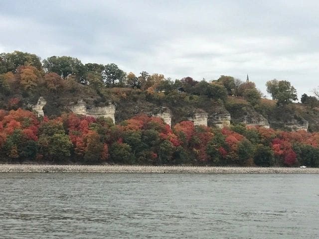 Bank along the MS River