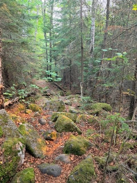 These rocks WERE the trail...