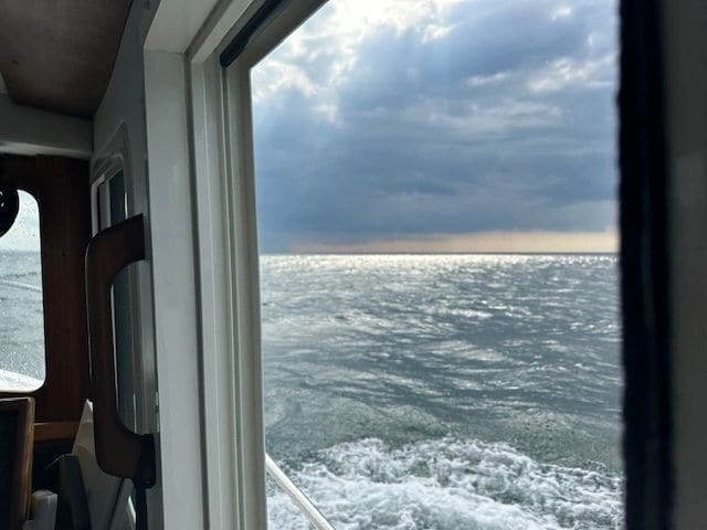 The second storm dissipated before reaching us