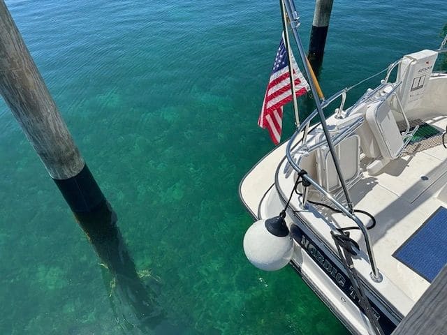 The water is so clear