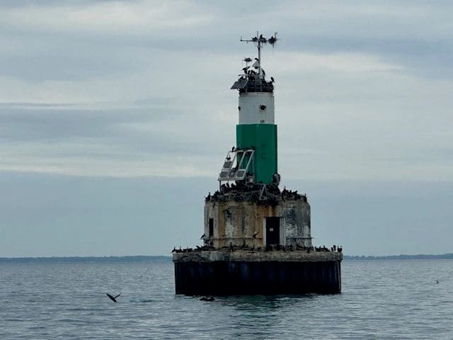 In Lake St Clair