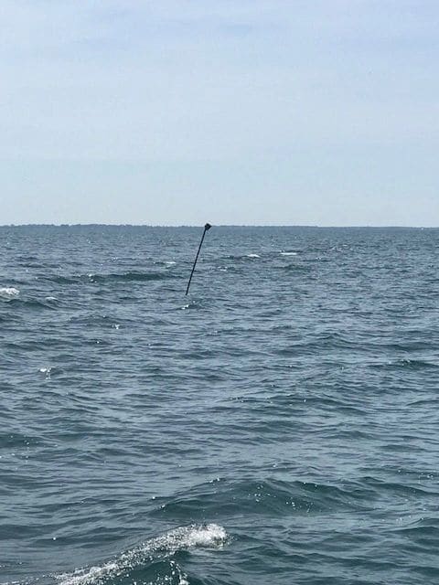 Trading salt-water crab pots for fresh-water fishing nets
