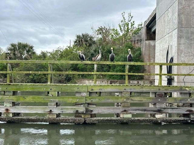 Morning meeting under the bridge.