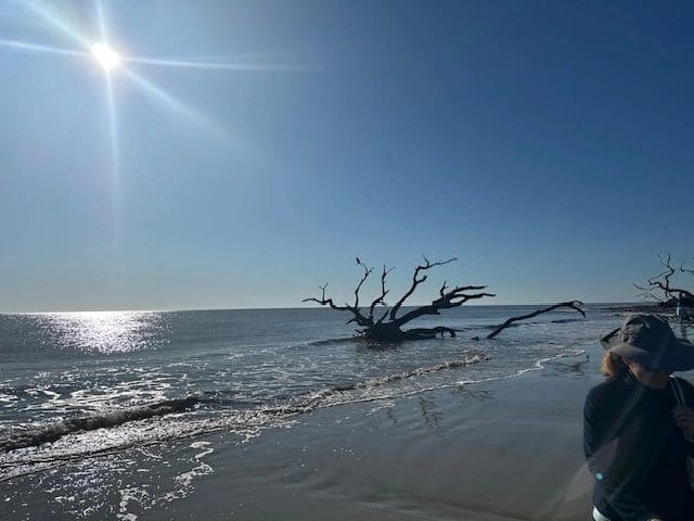Driftwood Beach.