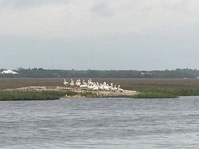 From St. Augustine to Jekyll Island, along the way…