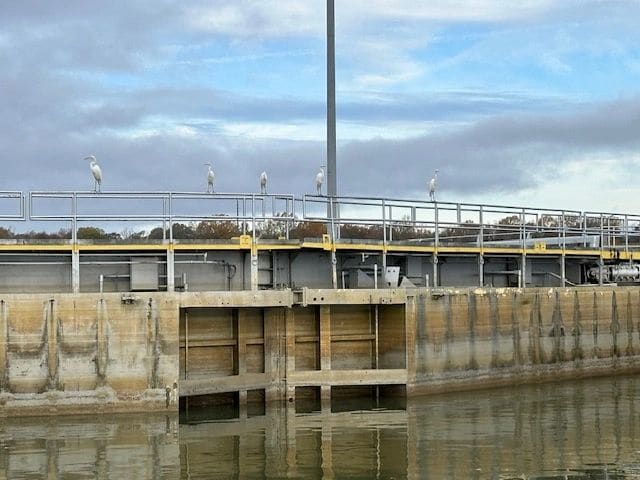 Waiting at the lock
