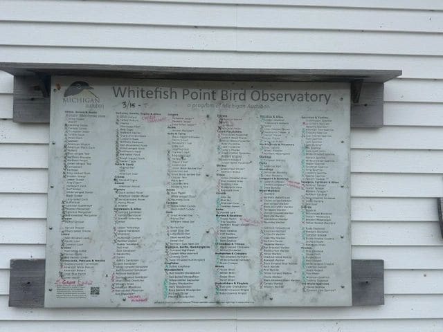 Whitefish Point is a major migration route for birds, raptors, waterbirds, and owls.