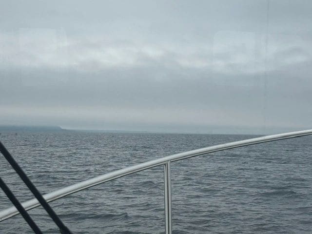 Thick fog along the coastline.