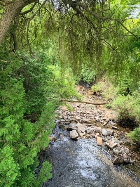 Scenic river in Harrisville.