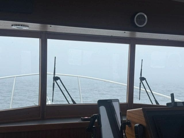 But then the fog returned...