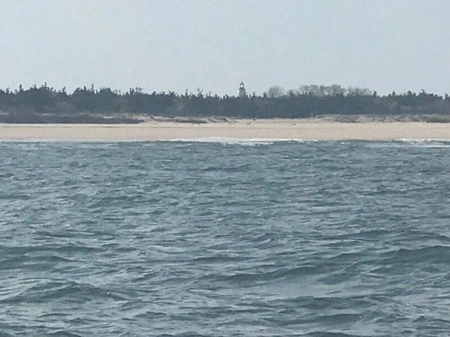 NJ shoreline