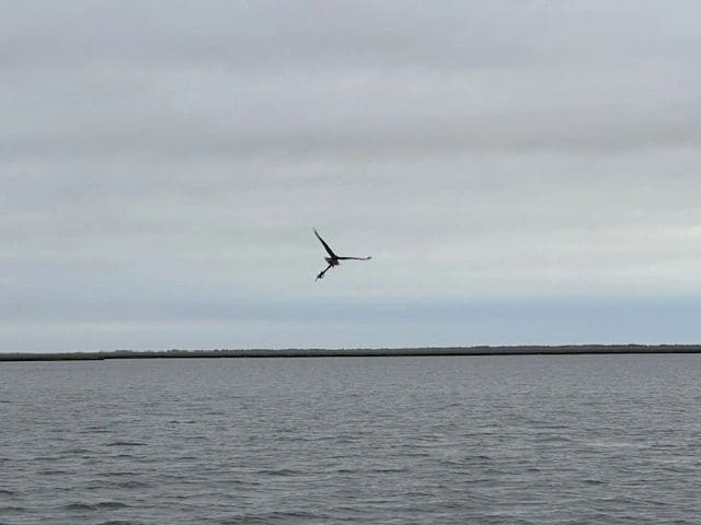 Along the way from Atlantic City to Manasquan Inlet