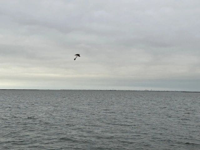 Along the way from Atlantic City to Manasquan Inlet