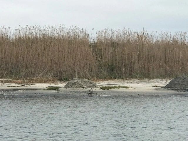 Along the way from Atlantic City to Manasquan Inlet