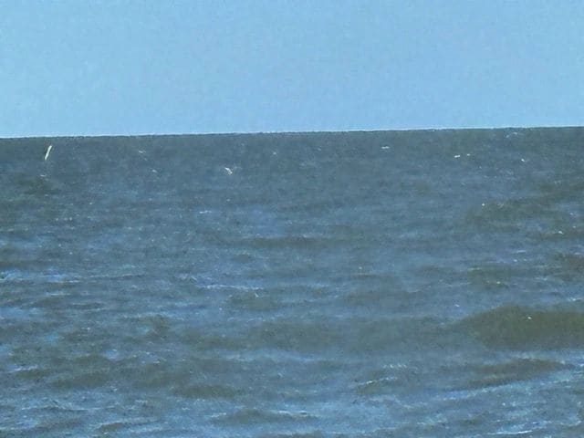 Delaware Bay crossing (look out for pipes)