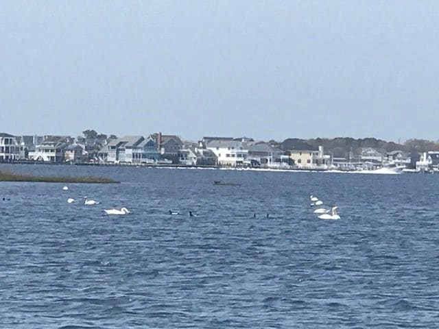 Along the way from Atlantic City to Manasquan Inlet