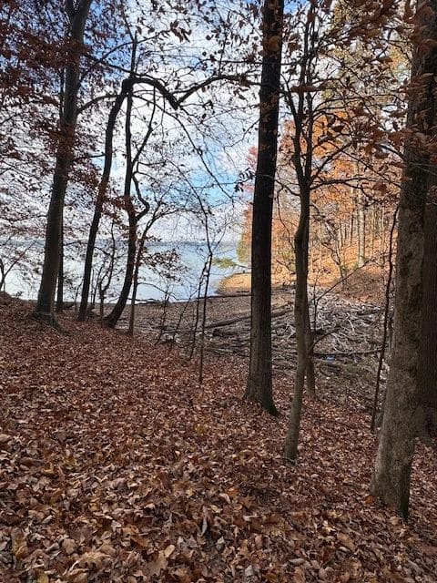 Hiking at Wheeler Park, Rogersville AL