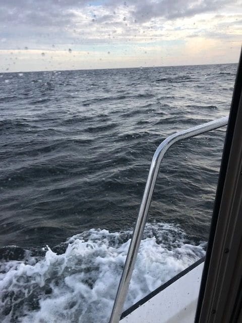Gulf crossing (it may not look like it here, but the waves were big, HONESTLY)